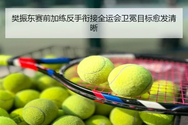 樊振东赛前加练反手衔接全运会卫冕目标愈发清晰